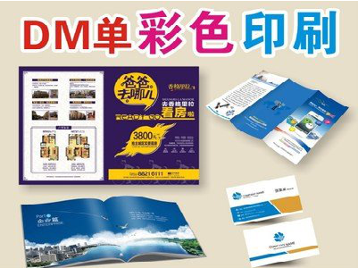  泗阳单页印刷，色彩搭配简单。